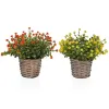 Decorative Plant Versa Iron Textile Plastic 16 x 21 cm