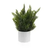 Koristekasvi Versa Rauta Teksiili Muovinen 8,5 X 26 CM