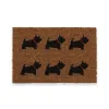 Kāju slaukāmais paklājs Versa PVC Kokosriekstu šķiedra 40 x 2 x 60 cm Suns