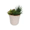 Decorative Plant Versa Ceramic Plastic Fusion Succulent 7,8 X 14 X 7,8 CM