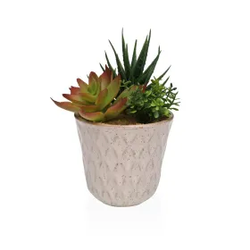 Dekoratīvs Augs Versa Keramika Plastmasa Fusion Sukulents 7,8 X 14 X 7,8 CM