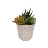 Dekoratīvs Augs Versa Keramika Plastmasa Fusion Sukulents 7,8 X 14 X 7,8 CM