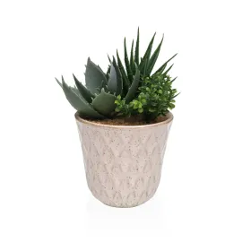 Dekoratīvs Augs Versa Keramika Plastmasa Fusion Sukulents 7,8 X 14 X 7,8 CM