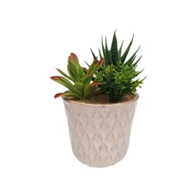 Dekoratīvs Augs Versa Keramika Plastmasa Fusion Sukulents 7,8 X 14 X 7,8 CM