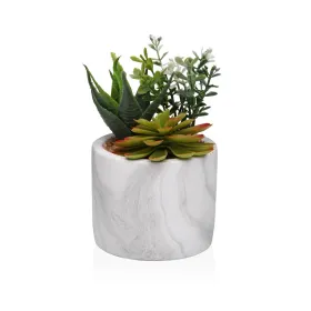 Dekoratīvs Augs Versa Keramika Plastmasa Fusion Sukulents 9 x 15 x 9 cm