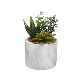 Dekoratīvs Augs Versa Keramika Plastmasa Fusion Sukulents 9 x 15 x 9 cm