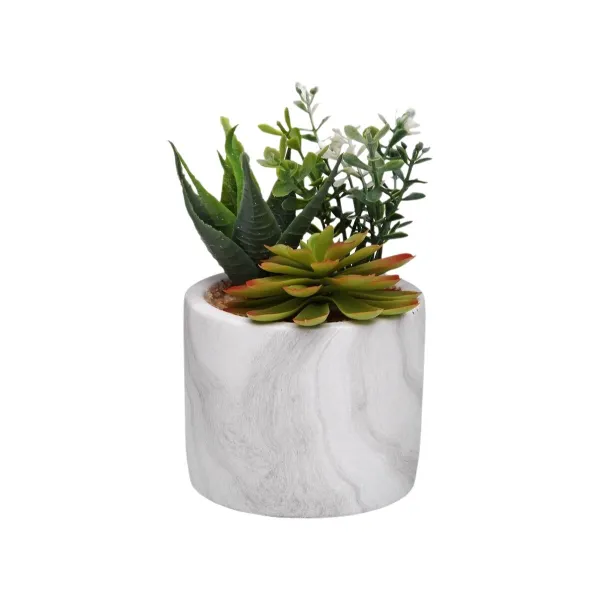 Dekoratīvs Augs Versa Keramika Plastmasa Fusion Sukulents 9 x 15 x 9 cm