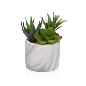 Dekoratīvs Augs Versa Keramika Plastmasa Fusion Sukulents 9 x 15 x 9 cm