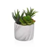 Decorative Plant Versa Ceramic Plastic Fusion Succulent 9 x 15 x 9 cm