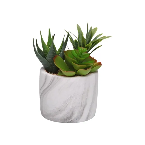 Dekoratīvs Augs Versa Keramika Plastmasa Fusion Sukulents 9 x 15 x 9 cm
