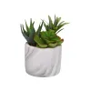Dekoratīvs Augs Versa Keramika Plastmasa Fusion Sukulents 9 x 15 x 9 cm