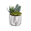 Dekoratyvinis augalas Versa Keramikinis Plastmasinis Fusion Sultingi 9 x 15 x 9 cm