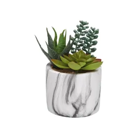 Dekoratīvs Augs Versa Keramika Plastmasa Fusion Sukulents 9 x 15 x 9 cm