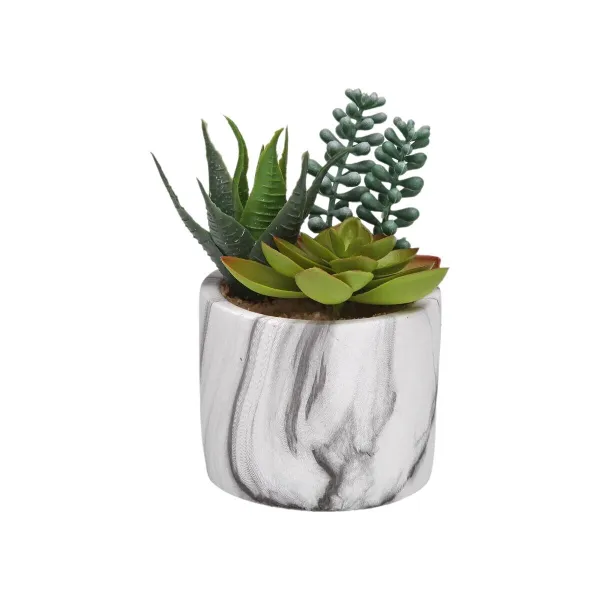 Dekoratīvs Augs Versa Keramika Plastmasa Fusion Sukulents 9 x 15 x 9 cm