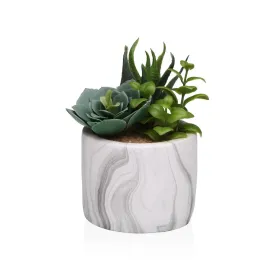 Dekoratīvs Augs Versa Keramika Plastmasa Fusion Sukulents 9 x 15 x 9 cm