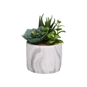 Dekoratīvs Augs Versa Keramika Plastmasa Fusion Sukulents 9 x 15 x 9 cm