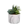 Dekoratīvs Augs Versa Keramika Plastmasa Fusion Sukulents 9 x 15 x 9 cm