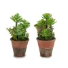 Ibergarden Decorative Plant with Brown and Green Plastic Pot 16 x 23 x 16 cm