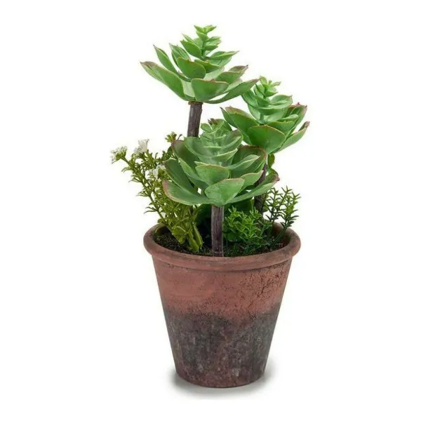 Ibergarden Dekoratīvā Augs ar Plastmasas Podu Brūnā un Zaļā 16 x 23 x 16 cm