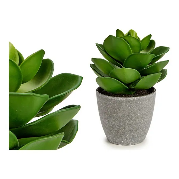 Dekoratyvinis augalas Ibergarden Plastmasinis 16 x 21 x 16 cm Pilka