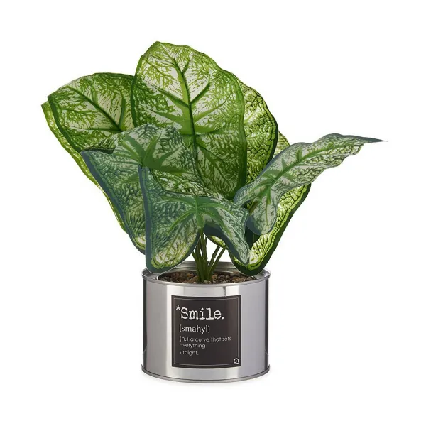 Dekoratyvinis augalas Ibergarden Smile Metalinis Plastmasinis Skardinė 26 x 26 x 26 cm Sidabras