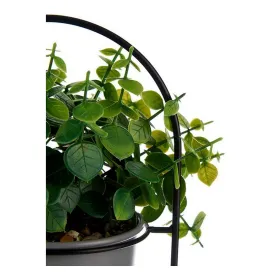Dekoratīvs Augs Ibergarden Metāls Plastmasa 21 x 30 x 21 cm Ar atbalstu Pelēks