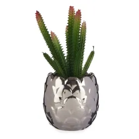 Dekoratīvs Augs Ibergarden Keramika Plastmasa Kaktuss 10 x 20 x 10 cm Sudrabains
