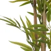 Decorative Plant Ibergarden Plastic Iron cable Bamboo 70 x 120 x 70 cm
