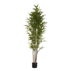 Dekoratīvs Augs Ibergarden BRS-ADK111 Plastmasa dzelzs stieple Bambuss 80 x 180 x 80 cm