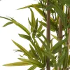 Dekoratyvinis augalas Ibergarden BRS-ADK111 Plastmasinis Geležinis laidas Bambukas 80 x 180 x 80 cm