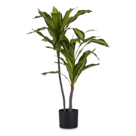 Dekoratīvs Augs Ibergarden Plastmasa dzelzs stieple plats asmens 60 x 90 x 60 cm