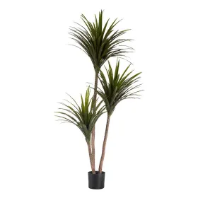 Dekoratīvs Augs Ibergarden Plastmasa dzelzs stieple šaurs asmens 80 x 200 x 105 cm
