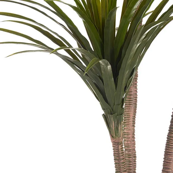 Dekoratīvs Augs Ibergarden Plastmasa dzelzs stieple šaurs asmens 80 x 200 x 105 cm