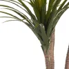Dekoratīvs Augs Ibergarden Plastmasa dzelzs stieple šaurs asmens 80 x 200 x 105 cm