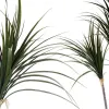 Dekoratīvs Augs Ibergarden Plastmasa dzelzs stieple šaurs asmens 80 x 140 x 85 cm