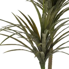 Dekoratīvs Augs Ibergarden Plastmasa dzelzs stieple šaurs asmens 80 x 150 x 105 cm