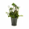 Decorative Plant Ibergarden Cork Plastic Flowers Field 20 x 41 x 20 cm (6 Units)