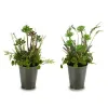 Decorative Plant Ibergarden Cork Plastic Flowers Field 20 x 41 x 20 cm (6 Units)