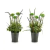 Dekoratīvs Augs Ibergarden Metāls Plastmasa Lavanda 13 x 40 x 13 cm (12 gb.)