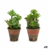 Dekoratīvs Augs Ibergarden Plastmasa Sukulents 16 x 23 x 16 cm (12 gb.)