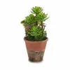 Koristekasvi Ibergarden Muovinen Mehikasvi 16 x 23 x 16 cm (12 osaa)