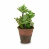 Dekoratyvinis augalas Ibergarden Plastmasinis Sultingi 16 x 23 x 16 cm (12 vnt.)