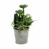 Dekoratyvinis augalas Ibergarden Plastmasinis Cementas 15 x 24 x 15 cm (12 vnt.)