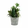 Dekoratyvinis augalas Ibergarden Plastmasinis Cementas 15 x 24 x 15 cm (12 vnt.)