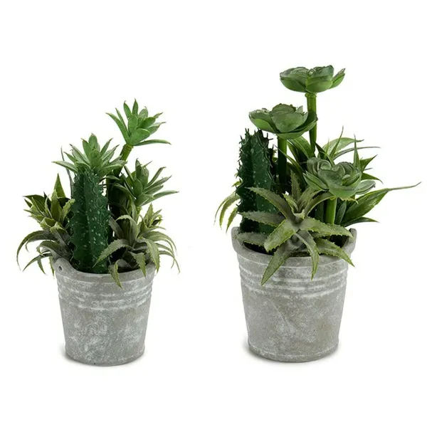 Dekoratyvinis augalas Ibergarden Plastmasinis Cementas 15 x 24 x 15 cm (12 vnt.)
