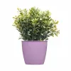 Kabantis šviestuvas Stefanplast Academy Plastmasinis 11,3 x 10 x 11,3 cm (60 vnt.)