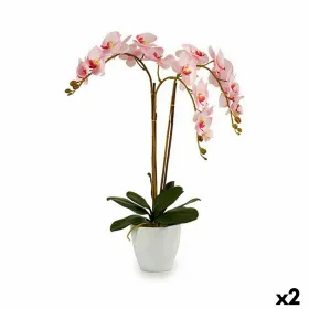 Dekoratīvs Augs Ibergarden Plastmasa Orhideja 40 x 77 x 35 cm 40 x 78 x 35 cm 40 x 78 x 44 cm (2 gb.)