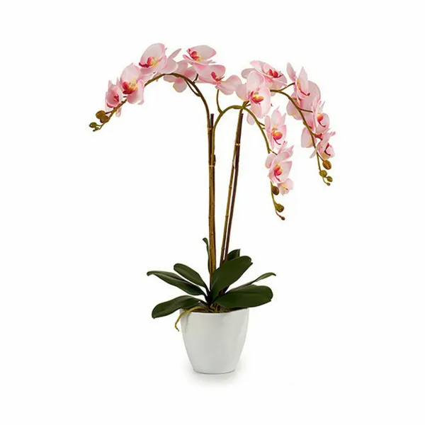 Dekoratīvs Augs Ibergarden Plastmasa Orhideja 40 x 77 x 35 cm 40 x 78 x 35 cm 40 x 78 x 44 cm (2 gb.)