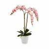 Dekoratīvs Augs Ibergarden Plastmasa Orhideja 40 x 77 x 35 cm 40 x 78 x 35 cm 40 x 78 x 44 cm (2 gb.)