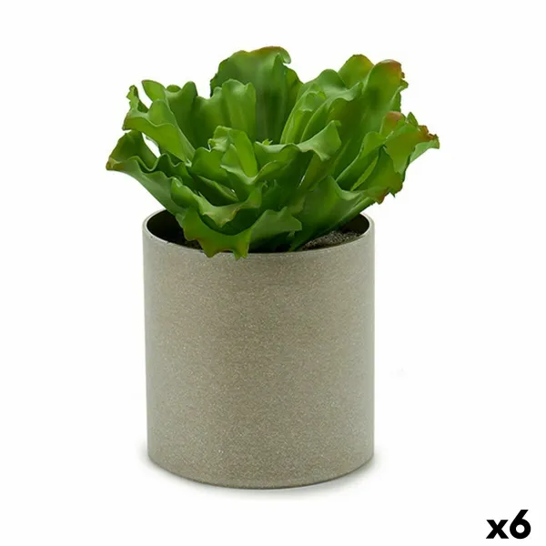 Декоративное растение Ibergarden 20 x 25 x 20 cm (6 штук)